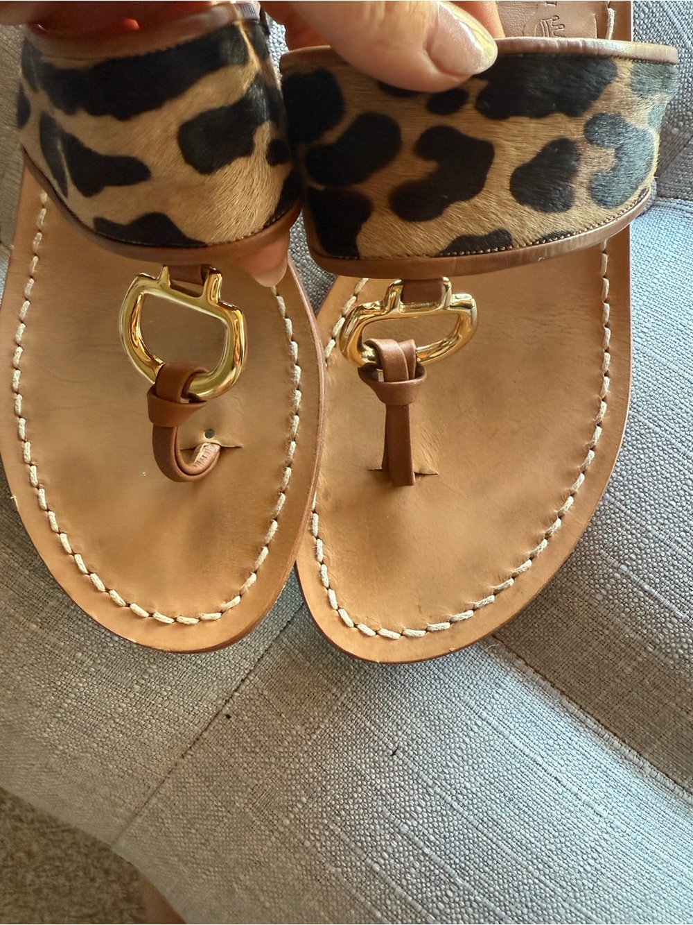 Vero Cuoio Leopard Print Toe-Loop Sandals with Gold Buckle - Picture 3 of 9